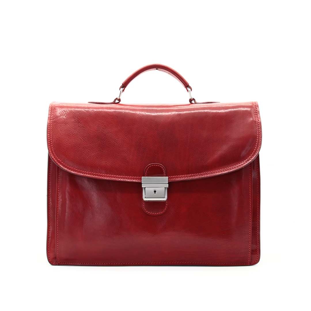 Borsa professionale in pelle 1050 - Image 2