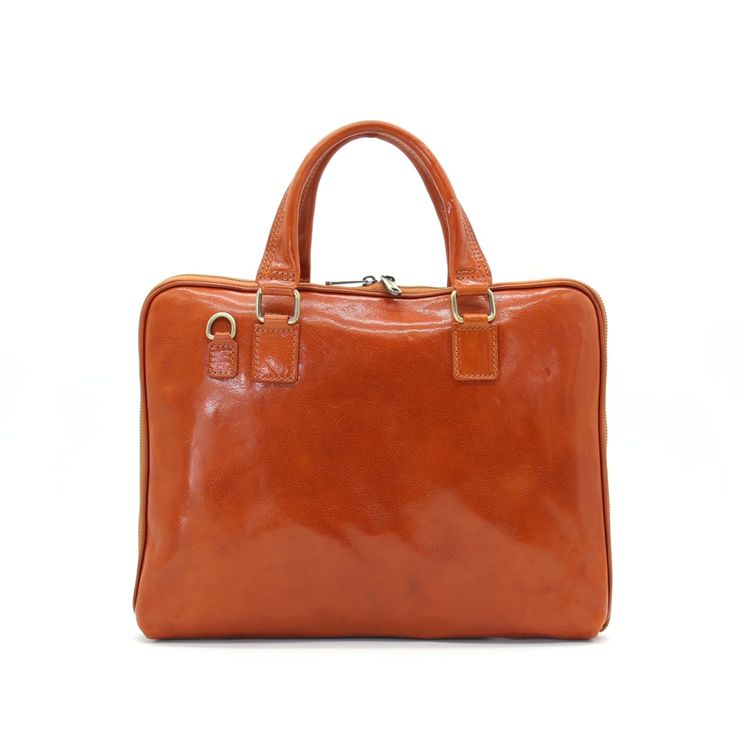 Borsa professionale in pelle 3920C