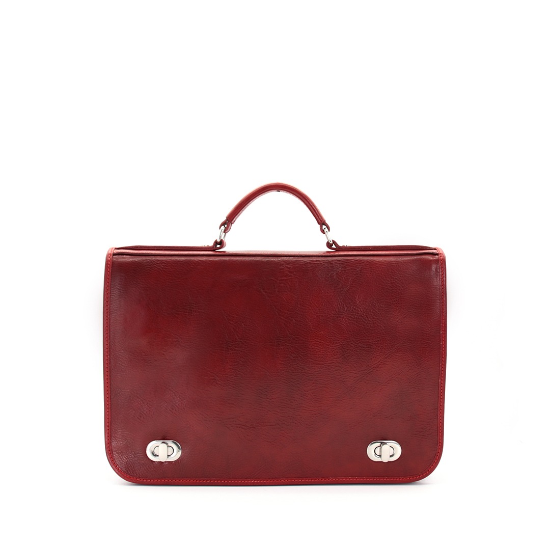 Borsa professionale in pelle 255GB