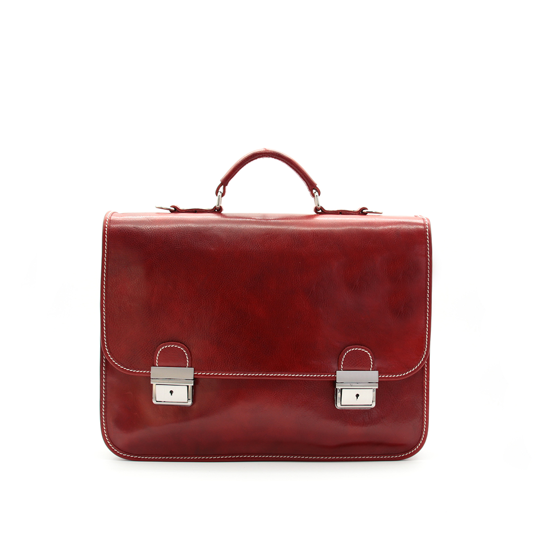 Borsa professionale in pelle 225 - Image 6